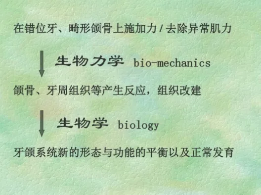 为什么加入生物力学和心理辅导后编排更惊艳？